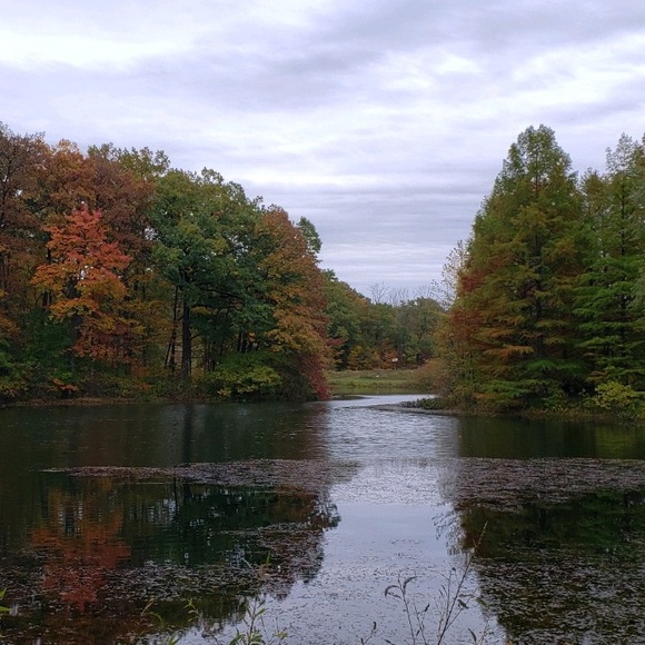 Thank YOU for shopping my closet! - Picture 5 of 11